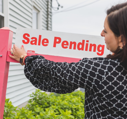 ansa's real estate